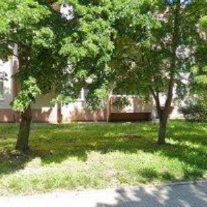 obrazek: avatar VOJÁČEK PETR BcA.