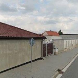 obrazek: avatar RŮŽIČKA DAN