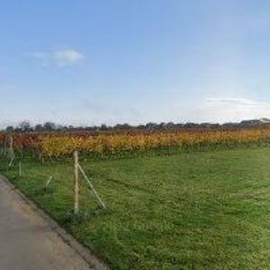 obrazek: avatar ZIDO GAME s.r.o.