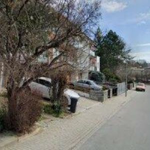 obrazek: avatar SAXX