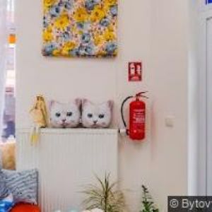 obrazek: avatar LŽIČAŘ IVO-ELEKTRA