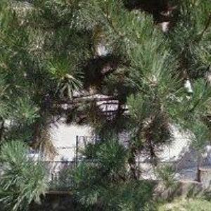 obrazek: avatar LYGRE-ELEKTROINSTALACE