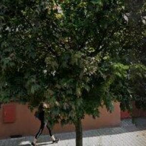 obrazek: avatar KNK SERVIS