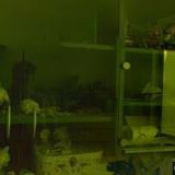 TOMEC ZDENĚK Ing.-VLNA FILCOVÁNÍ