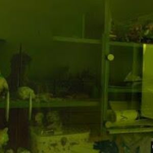 obrazek: avatar TOMEC ZDENĚK Ing.-VLNA FILCOVÁNÍ