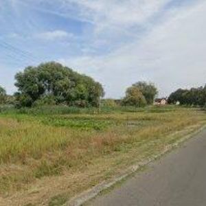 obrazek: avatar PK STAR.CZ-ŠKOLNÍ A KANCELÁŘSKÉ POTŘEBY