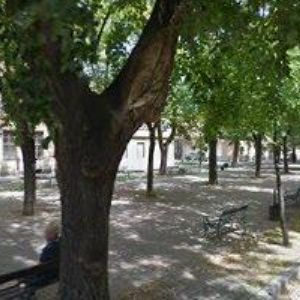 obrazek: avatar A-ŠACHY