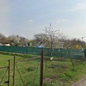 obrazek: avatar REAL FANTASY s.r.o.