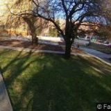 MENDL JAROSLAV-MASTER MODELL