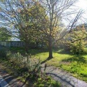 obrazek: avatar XANDY