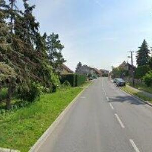 obrazek: avatar MAMUTNET