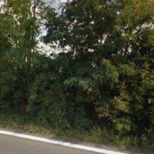 obrazek: avatar UMLÁŠEK s.r.o.