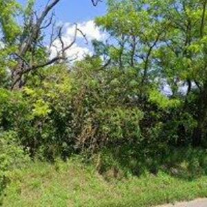 obrazek: avatar MEGAPLAST s.r.o.