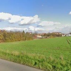 obrazek: avatar MOOD INTERNATIONAL, s.r.o.