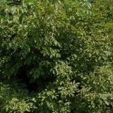 FORMÁNEK ZÁMEČNICTVÍ