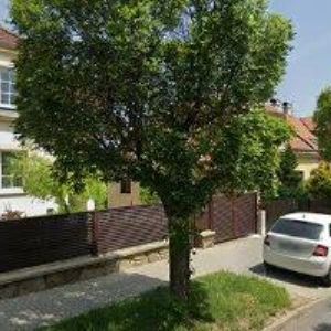 obrazek: avatar NUMERO UNO s.r.o.