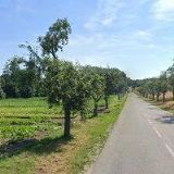 BERGAUER RADOMIL-KOVOMETAL