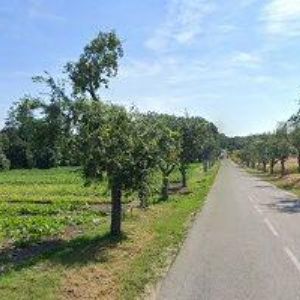 obrazek: avatar BERGAUER RADOMIL-KOVOMETAL