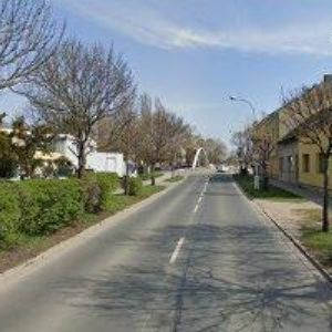 obrazek: avatar KOVOKOŠUT