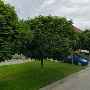 obrazek: avatar FVŠ, spol. s r.o.