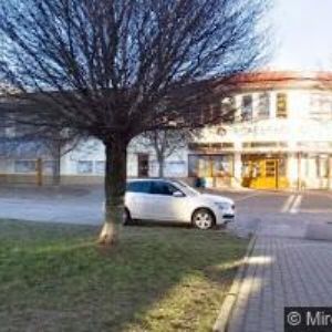 obrazek: avatar BOSONOŽKA