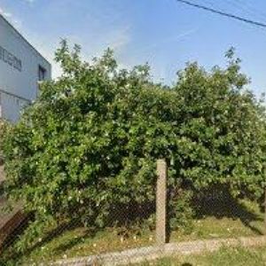 obrazek: avatar SYNKOVÁ OLGA-HELGA