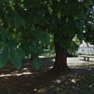 obrazek: avatar RALL s.r.o.