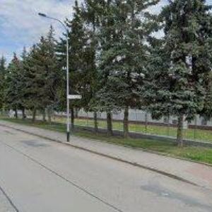 obrazek: avatar ŠULKA JURAJ