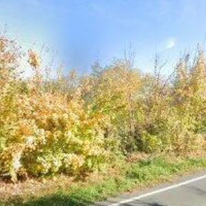 obrazek: avatar INTERIÉRY VELECKÝ