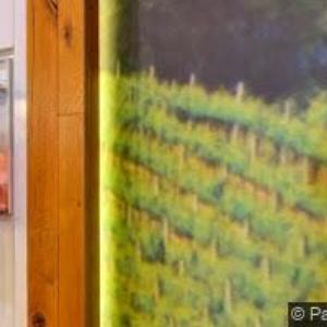 obrazek: avatar MIELE, spol. s r.o.