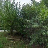 KLEINER BRNO, spol. s r.o.