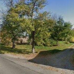 obrazek: avatar OSIČKA RICHARD