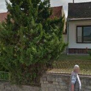 obrazek: avatar ZAJÍČEK KAREL