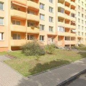 obrazek: avatar MICKA GROUP