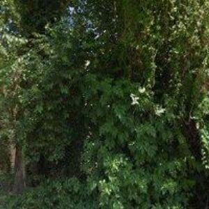 obrazek: avatar PREMONT KOVOVÝROBA s.r.o.