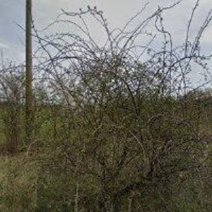 obrazek: avatar GIOMETAL s.r.o.