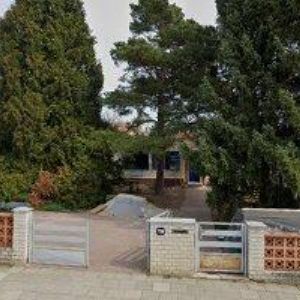 obrazek: avatar MÁCA MILAN