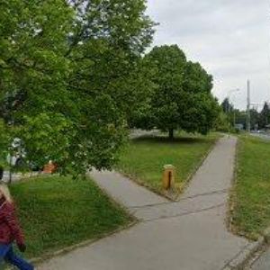 obrazek: avatar SPORT KLUB BRNO, z.s.