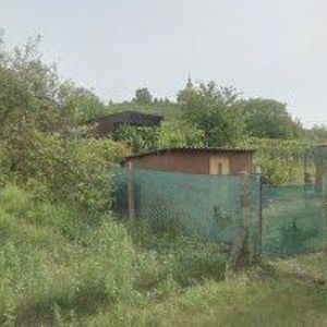 obrazek: avatar TJ SOKOL Bzenec