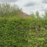 SVOBODA VÁCLAV-SÁDROKARTONY