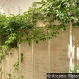 PROFISVITIDLA.CZ s.r.o.