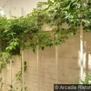 obrazek: avatar PROFISVITIDLA.CZ s.r.o.