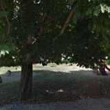 TJ SOKOL Charvátská Nová Ves z.s.