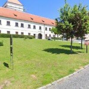 obrazek: avatar TJ SOKOL Čejkovice