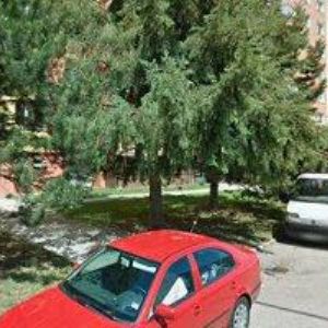 obrazek: avatar CAFÉ PORTUGAL