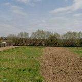 ŠLEZINGER KAMIL Mgr.