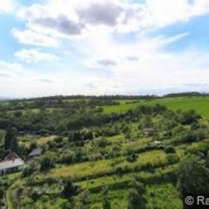 obrazek: avatar OREL JEDNOTA Pozořice