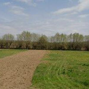 obrazek: avatar ŠLEZINGER