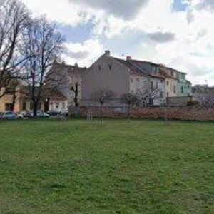 obrazek: avatar KROKODÝL BRNO
