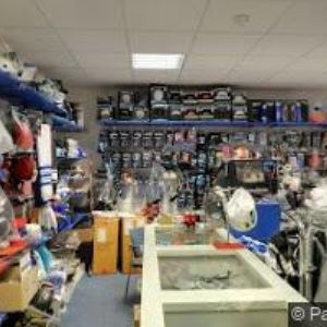 obrazek: avatar BULLDOGS BRNO